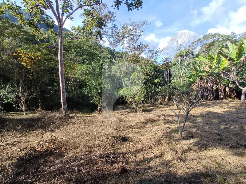 Terreno Residencial à venda em Itaipava, Petrópolis - RJ - Foto 2