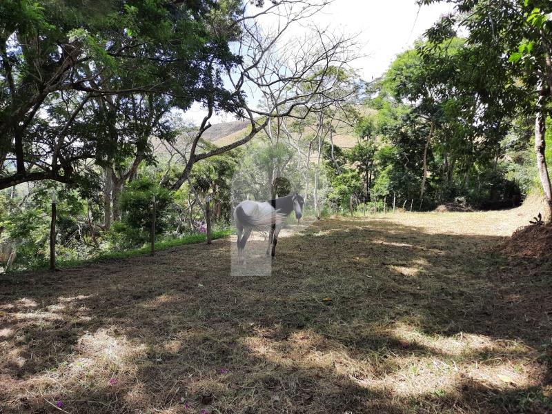 Casa à venda em Pedro do Rio, Petrópolis - RJ - Foto 26
