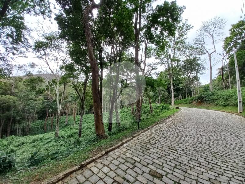 Terreno Residencial à venda em Pedro do Rio, Petrópolis - RJ - Foto 2