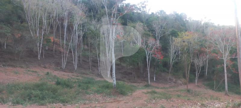 Terreno Residencial à venda em Secretário, Petrópolis - RJ - Foto 1