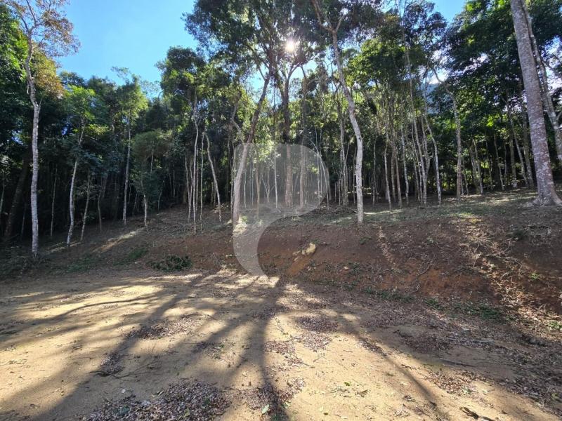 Terreno Residencial à venda em Itaipava, Petrópolis - RJ - Foto 2