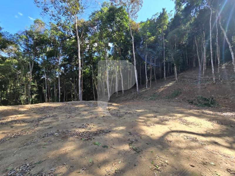 Terreno Residencial à venda em Itaipava, Petrópolis - RJ - Foto 5