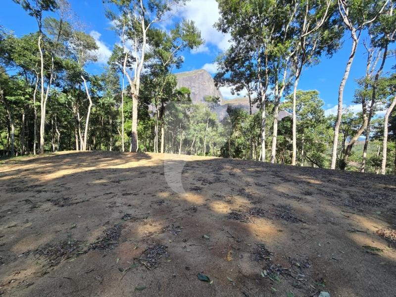 Terreno Residencial à venda em Itaipava, Petrópolis - RJ - Foto 7